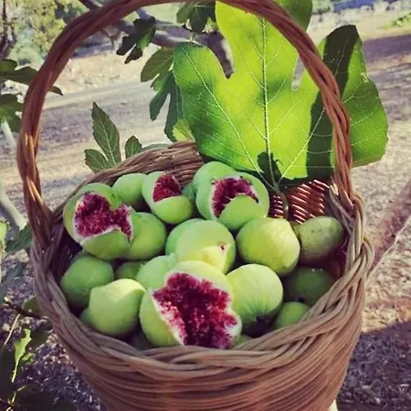 Dimora Aminidelo * מארוג'ו
